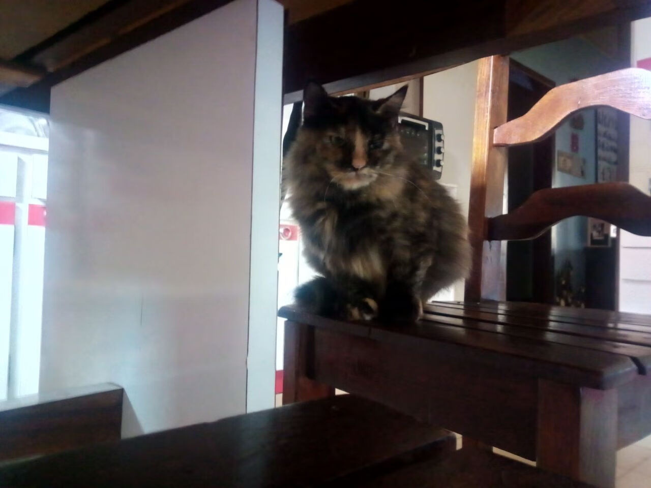 双城记，当伊蒂哈德的风吹过沈阳的夜