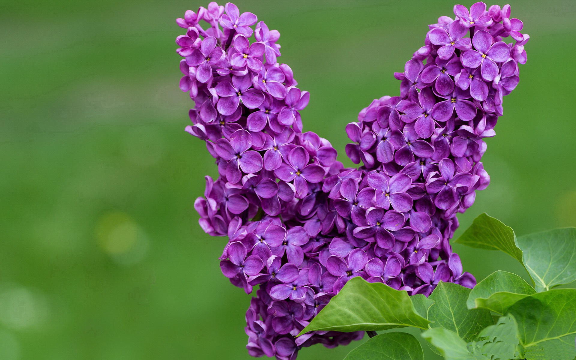 绿茵风暴与政治风暴的双重奏，从厄德高爆发、几内亚晋级到阿根廷的社会危机