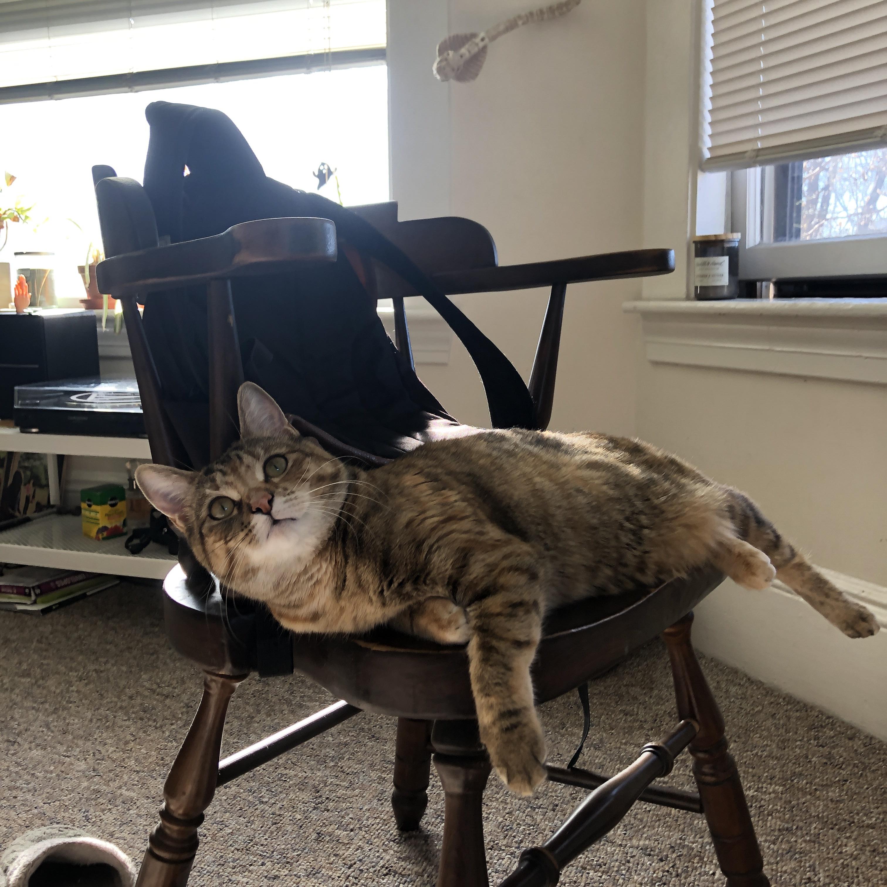 萨拉赫硬仗之王本色尽显，曼城单节爆发拉开塞维利亚差距