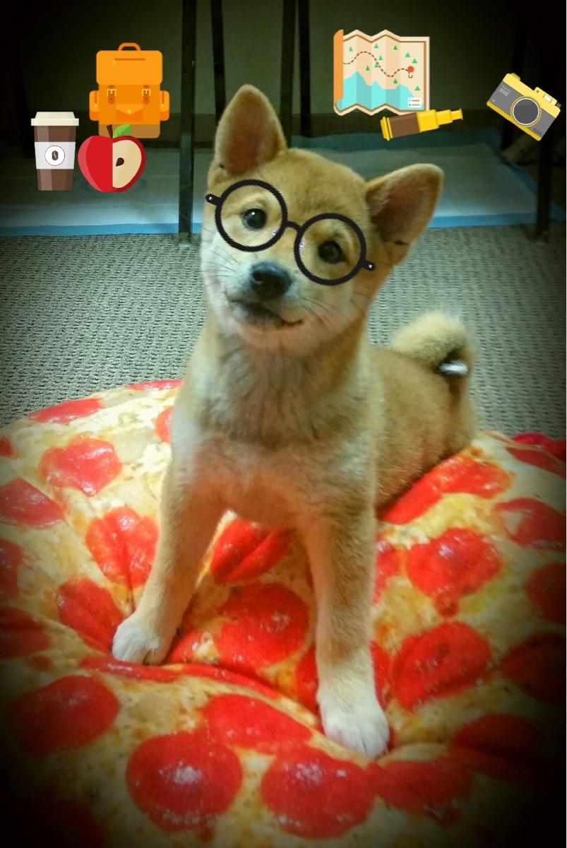 闪电三连击！哥伦比亚黑暗9分钟击溃乌拉圭，罗德里戈一己之力改乾坤