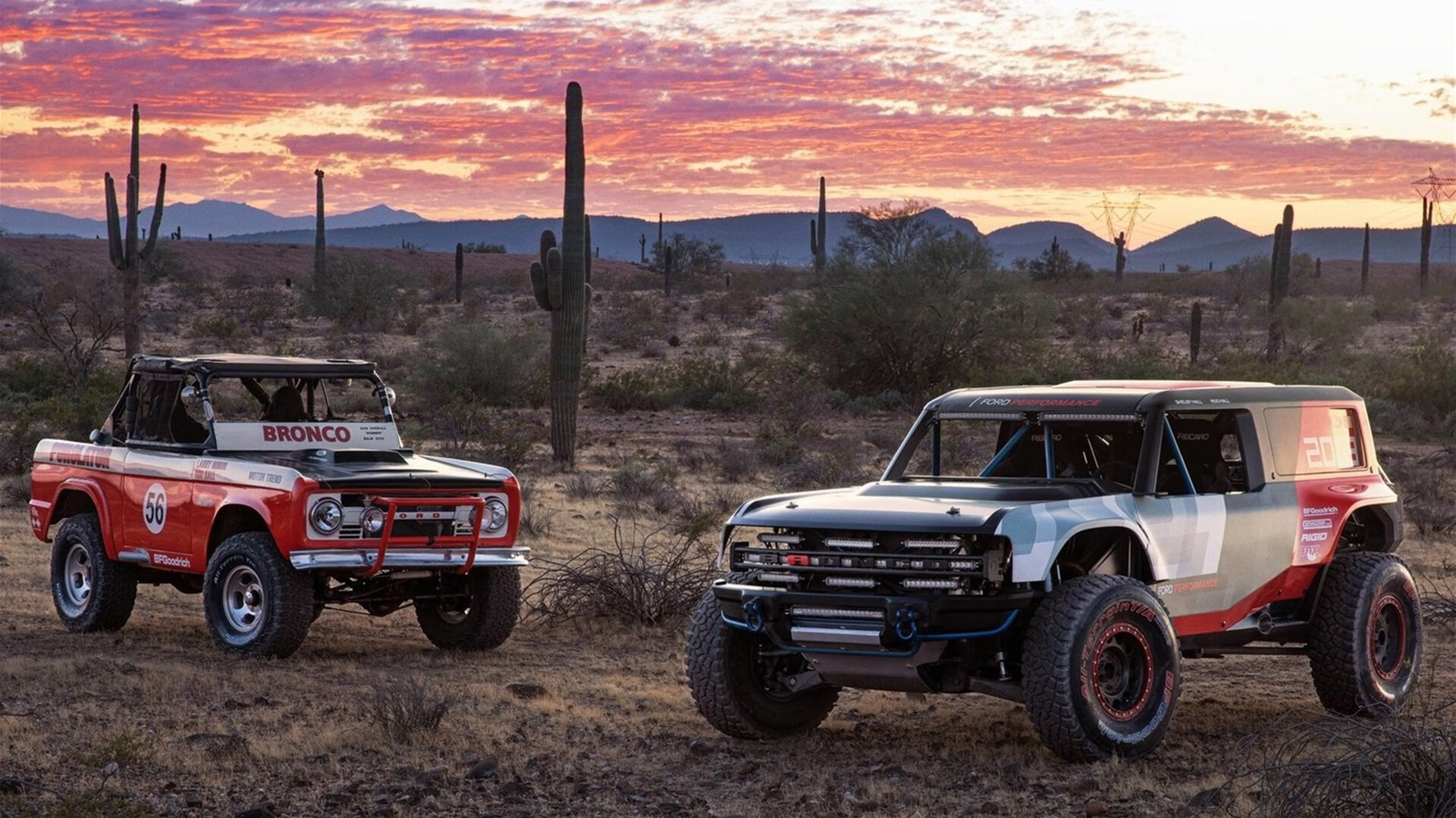 北京队的自信与霍勒迪的跨越，中国篮球与世界篮球的平行对话