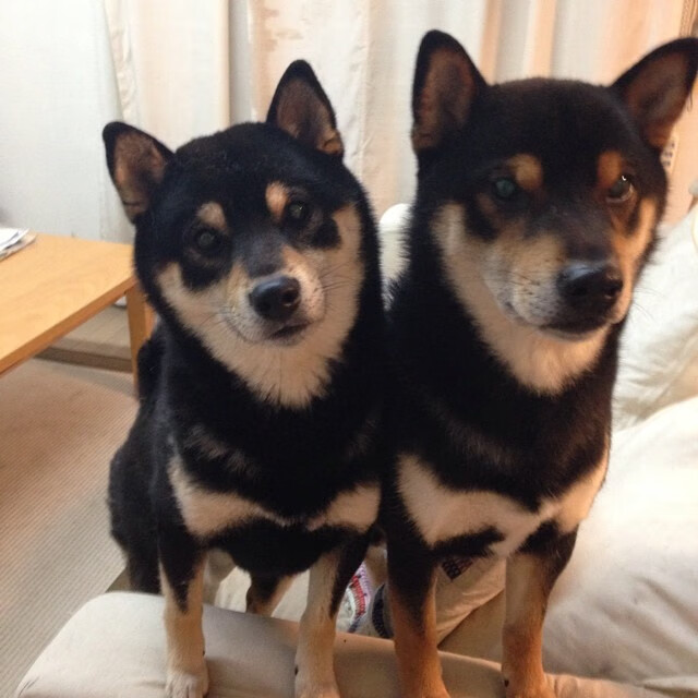 加时鏖战！久保建英一剑封喉，拜仁险胜威尔士黑马