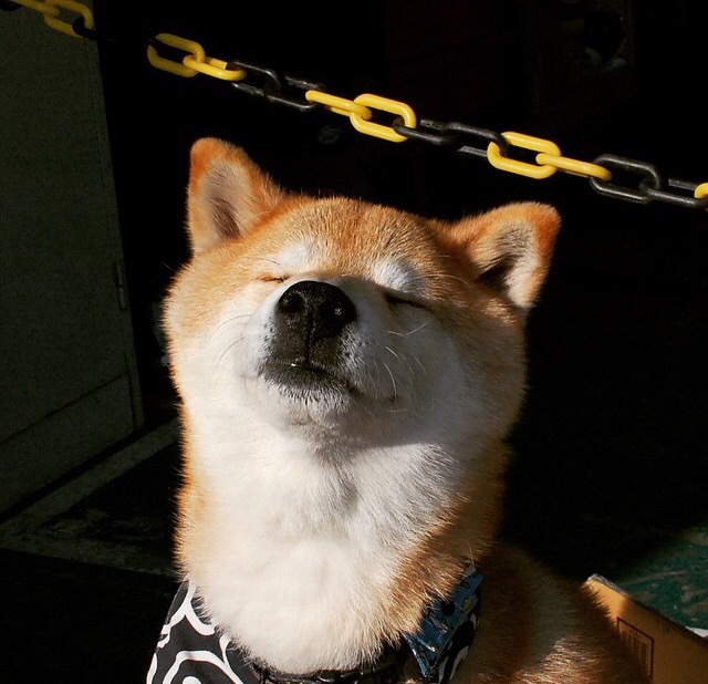 月光下的指挥家，恩佐如何用双脚谱写美加墨的决胜之夜