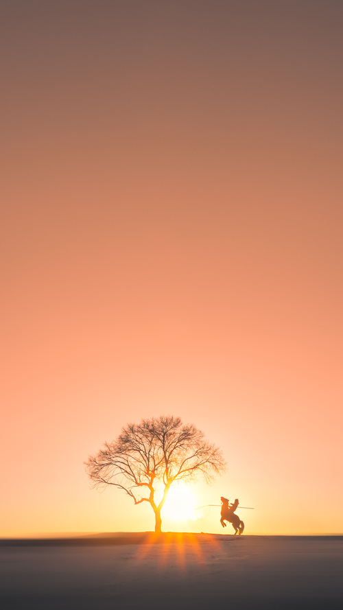 怒角对决惊涛骇浪,公牛最后时刻刺破上海苍穹