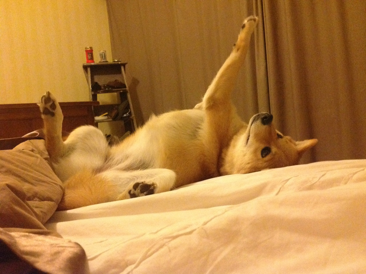 暗夜独行侠，当布伦森的星光刺破北京迷雾