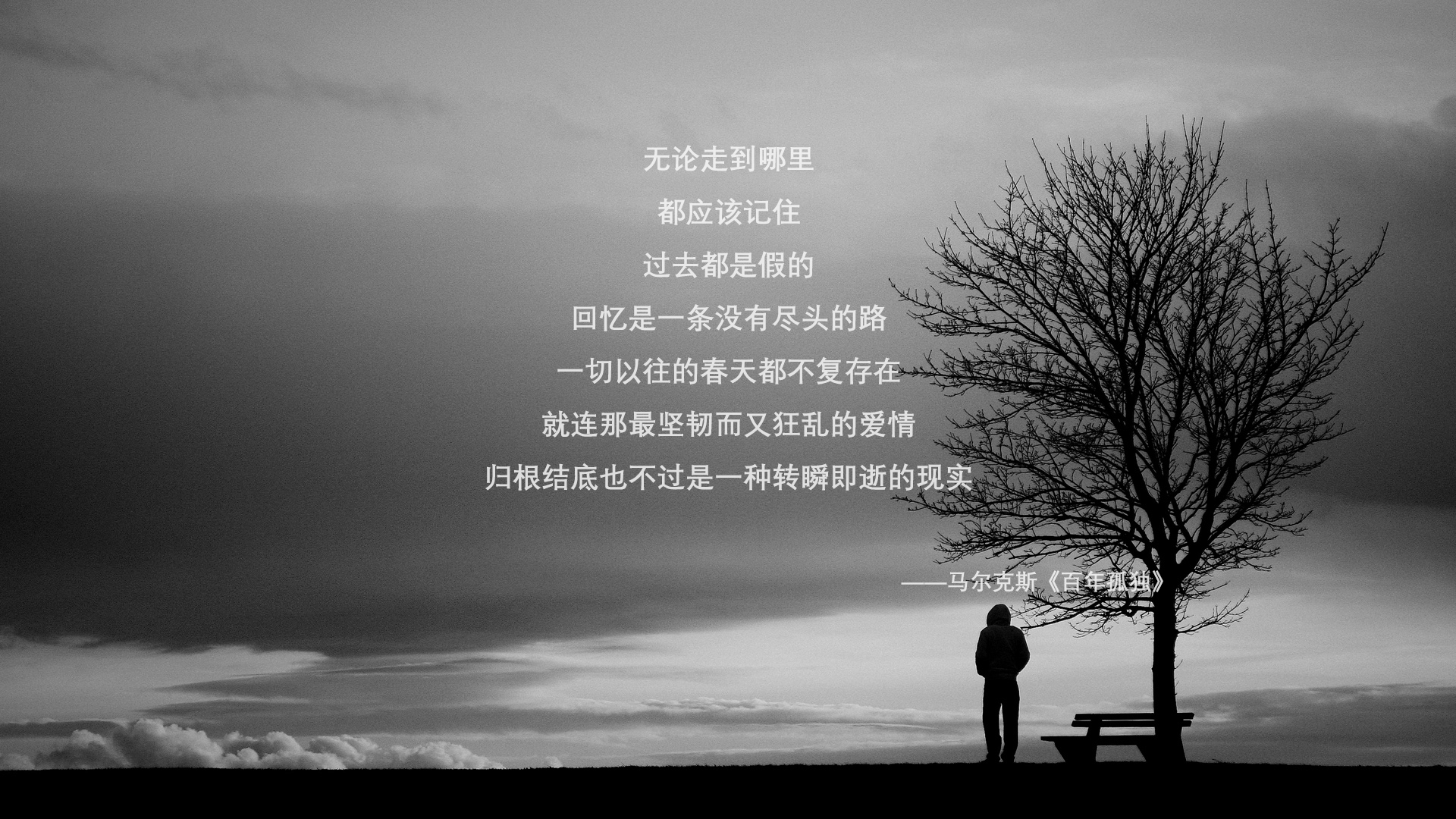 从南海到北威州，一个欧亚大陆的隐喻对决