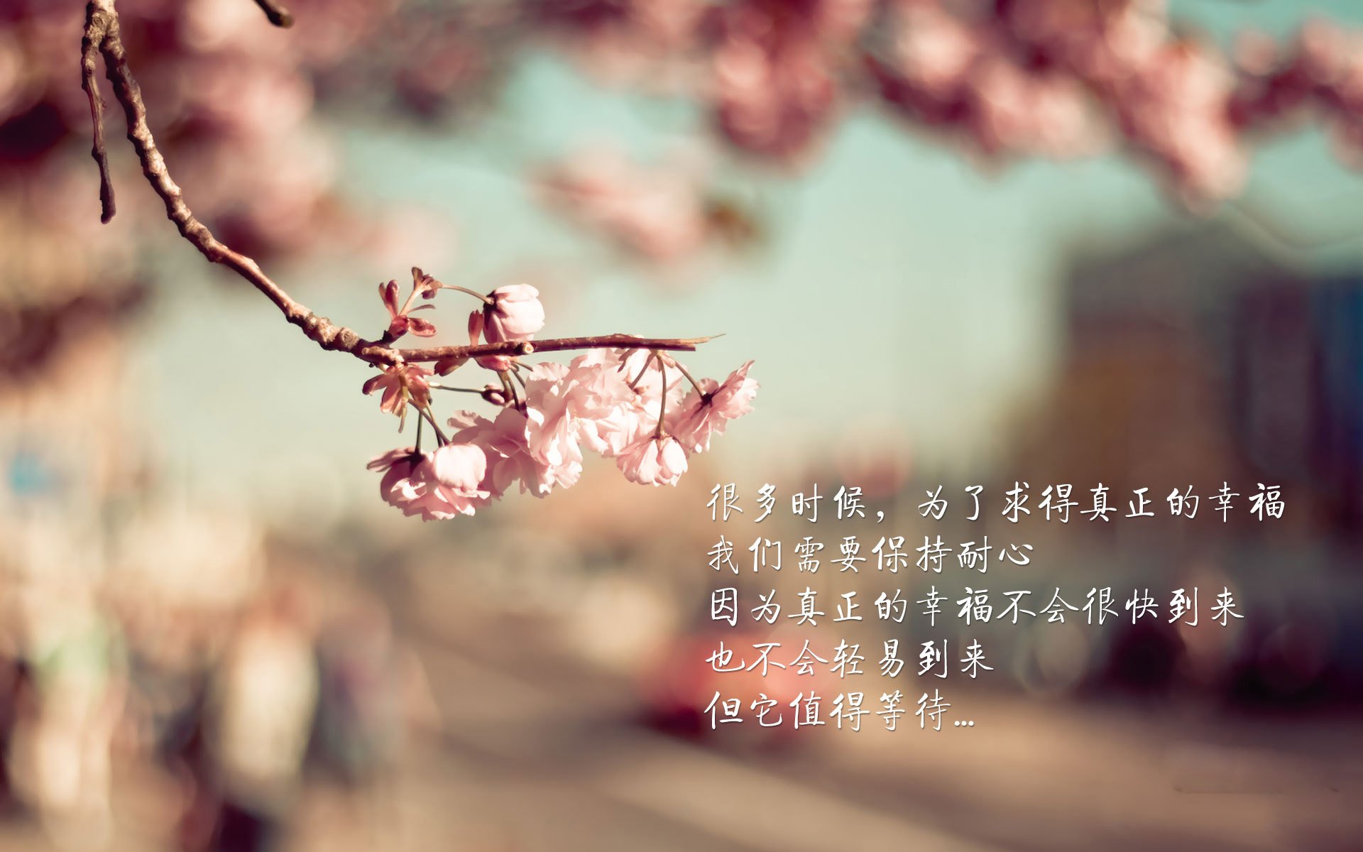 赛道动力学第四章，新世代车手的胜利范式