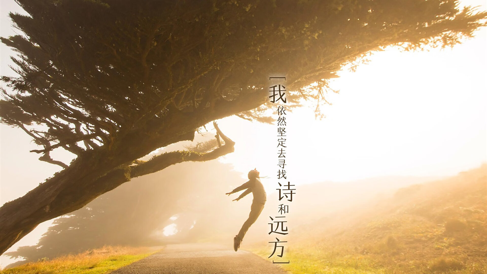 一剑封喉,罗德里戈如何在世界排名争夺战之夜改写足球版图