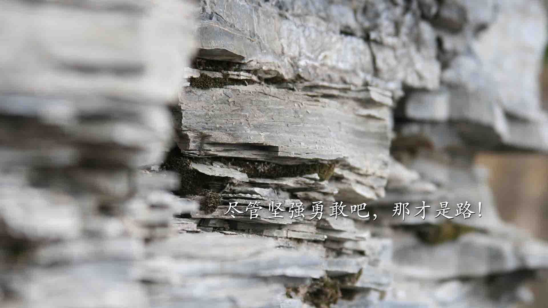 唯一神迹，当范戴克化身北极长城，波兰的黄金一代碎于卡塔尔的午夜
