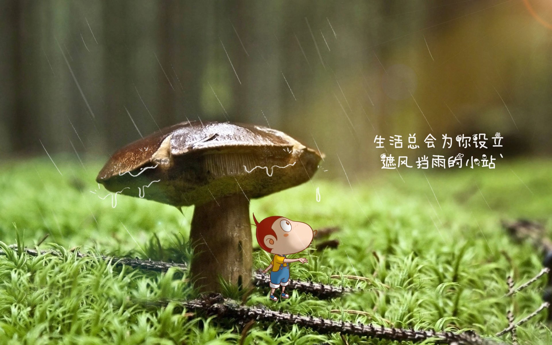 宿敌的献祭，时间的孩子，当莱万在巴尔干火药桶上，奏响最后一曲绝杀